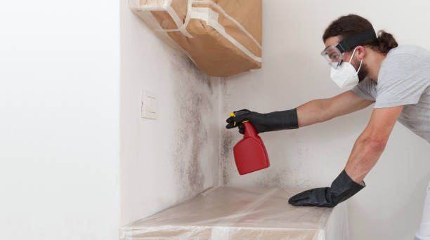 Professional Basement Mold Removal technician working in Saluda, VA