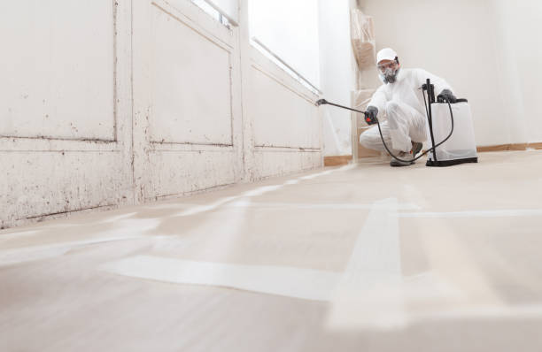 24/7 Emergency Basement Mold Removal experts in Saluda, VA